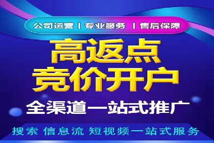 百度竞价包年实战：某行业巨头的成功秘诀
