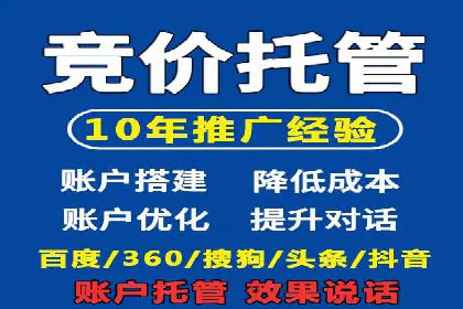 某电商平台的托管SEM竞价策略大揭秘
